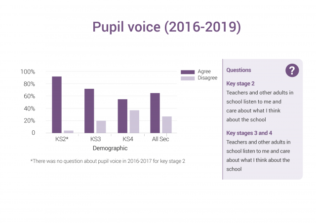 Pupil voice (2016-2019)